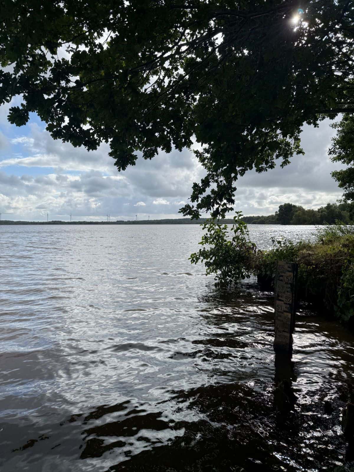 Blick über den Dahlemer See mit Wasser, Ufer und überhängenden Baumzweigen bei Tageslicht